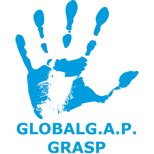 GRASP